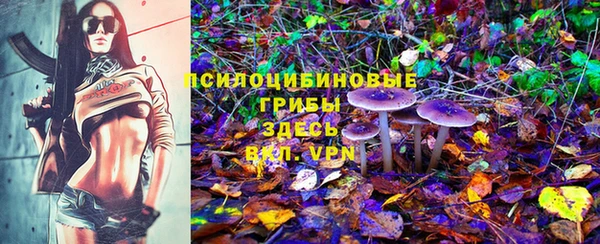 ПСИЛОЦИБИНОВЫЕ ГРИБЫ Козельск